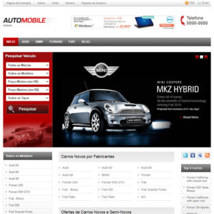 Criar Site Revenda de Carros WordPress 056