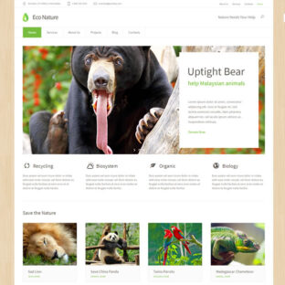 Criar Site Ecologia Natureza