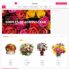 Loja Virtual Floricultura WordPress Responsivo Português 1011S